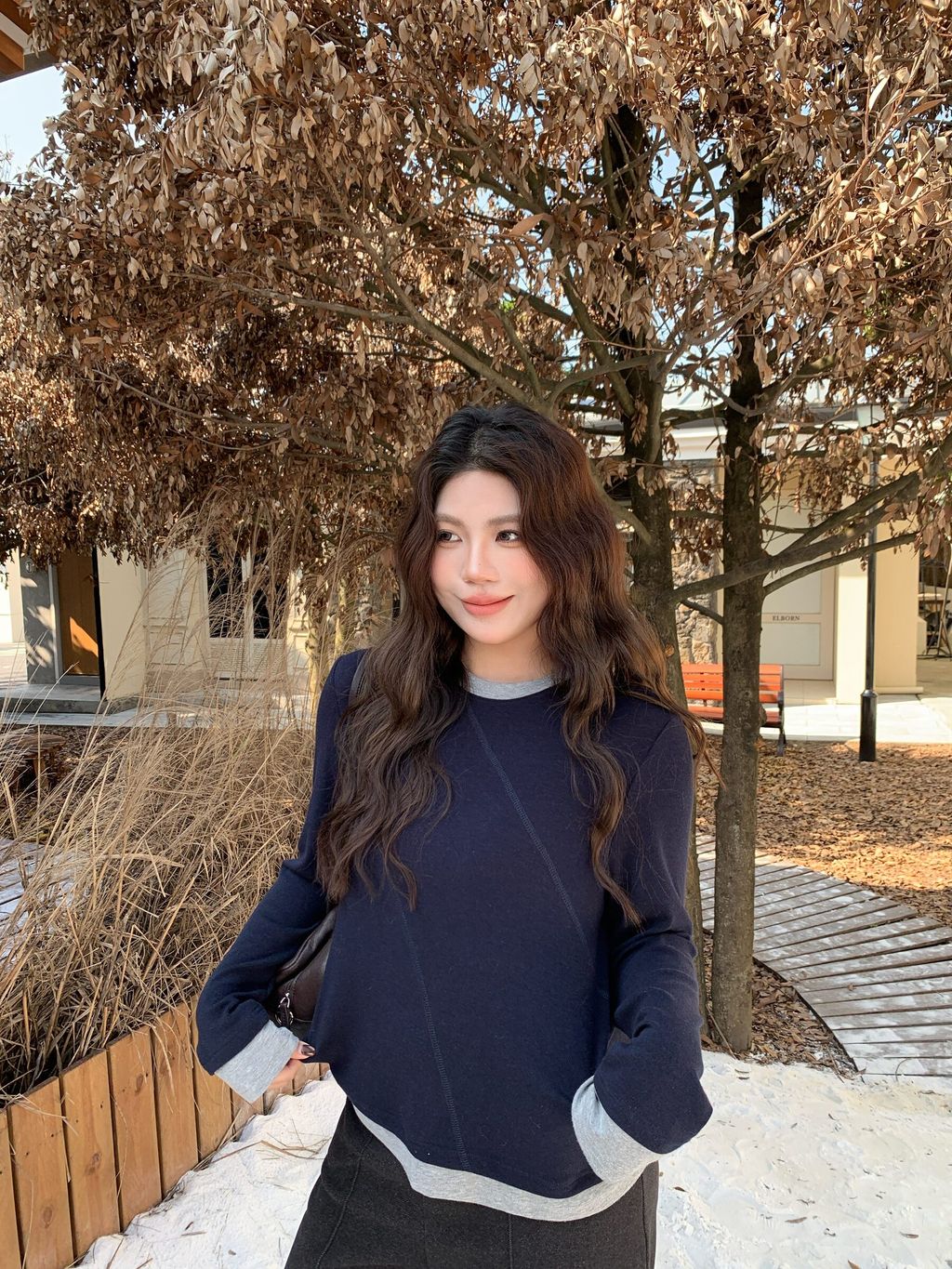 24a92b1826deafcd9a98c317308ca520