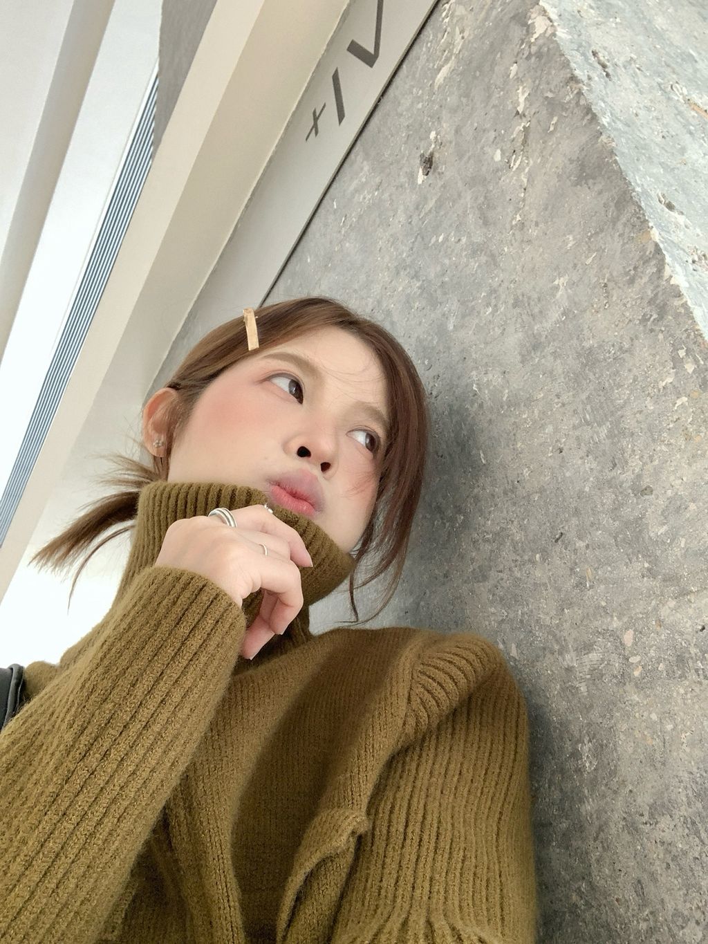 3fe78d1921691624477a3cafd5a0e642