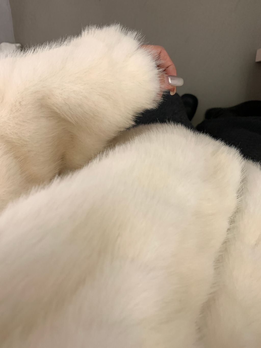 bf6a7192fdf48b8bc1b561d84cc98202