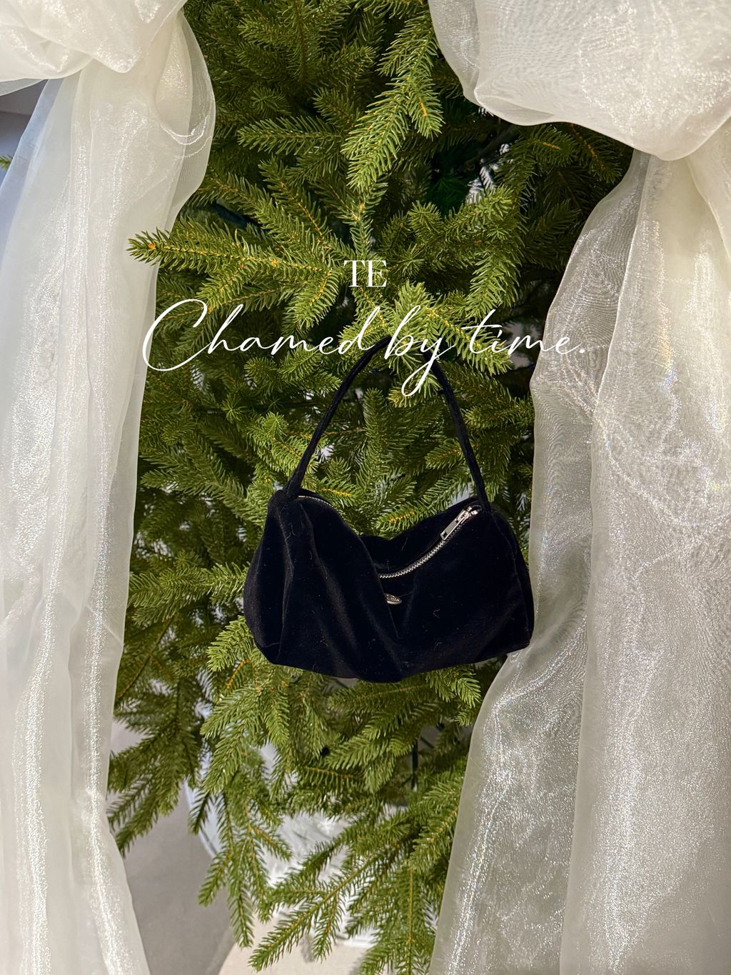 aba8f6f0c012a825159307ed641940a3