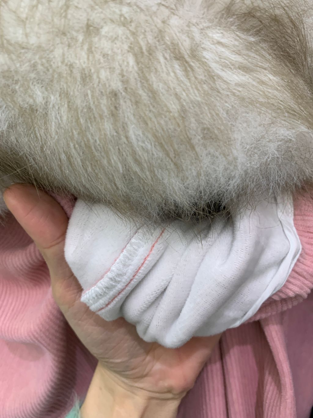 8f6ef92d68fcc972f6115ce2e8deaf3a