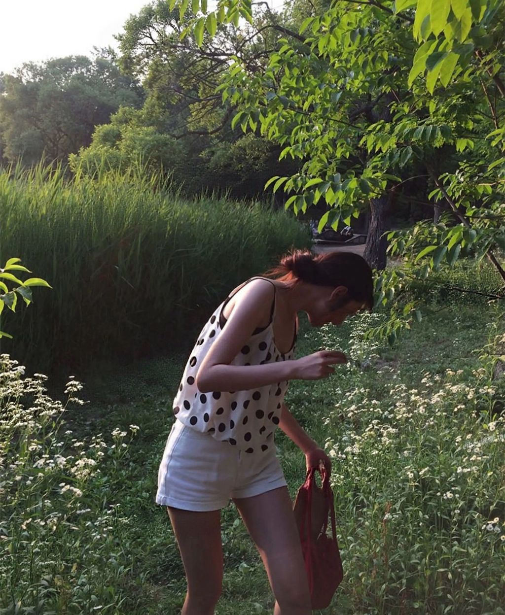 0f7ed6a494376b1bf45b29dd510a2dce