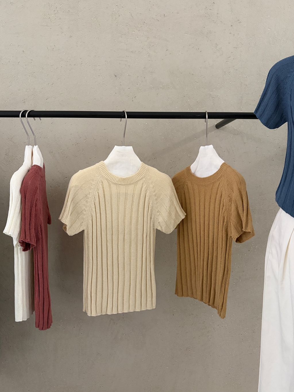 ce8062305ccaedea069f17823ce8e49c