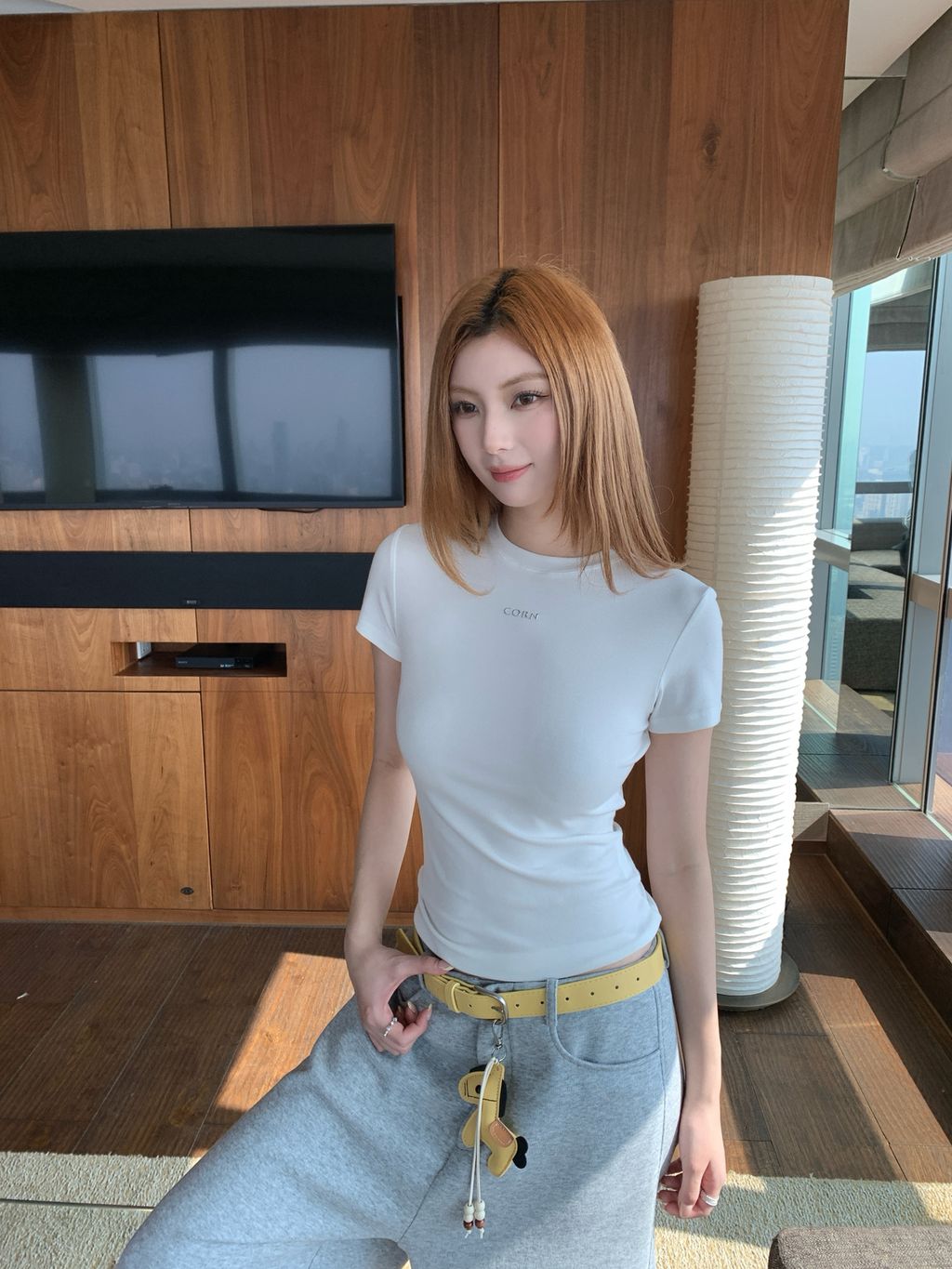 aa669f977d801ee4333474e4271821ca