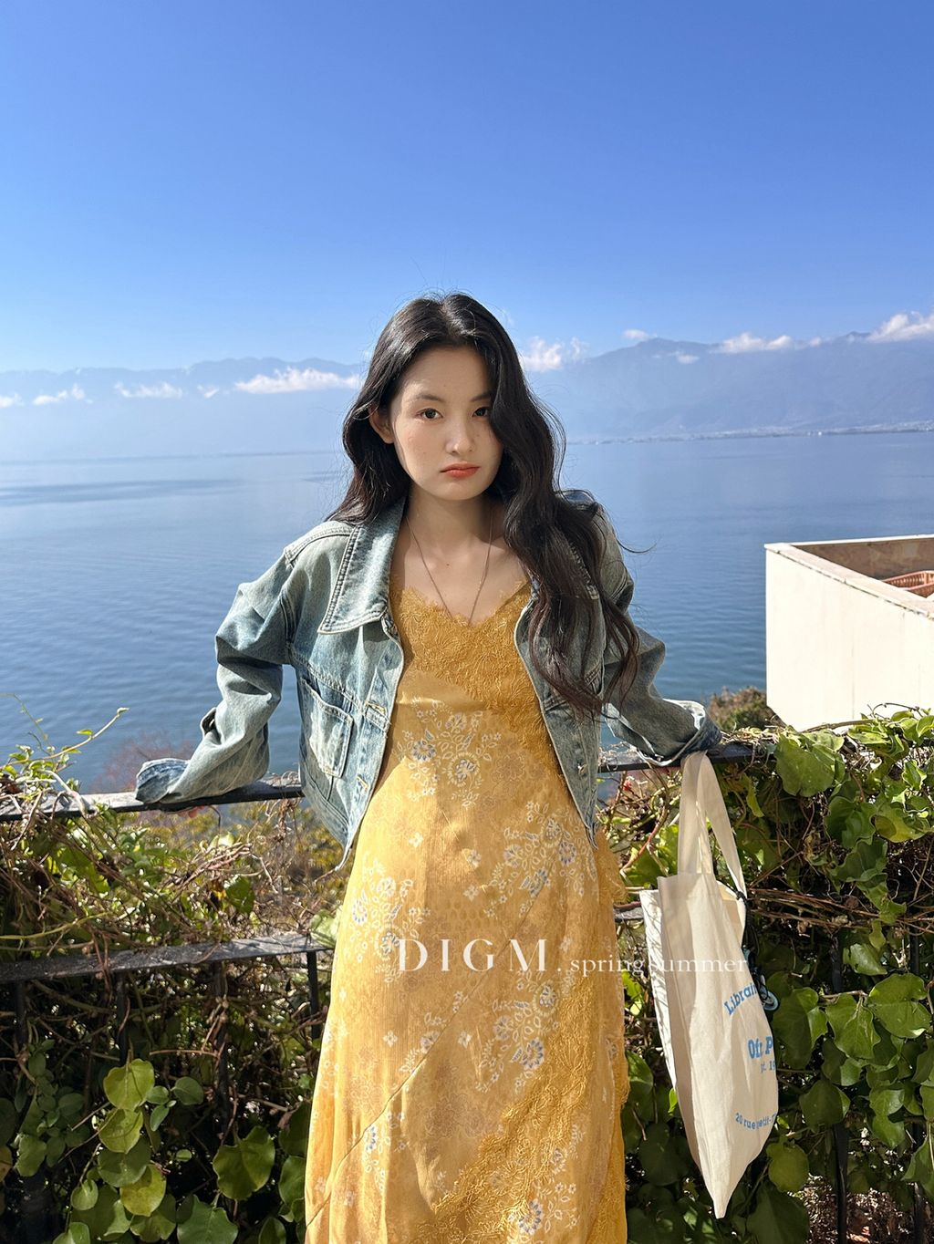 724cebae29f51077bada9b592d4e7663