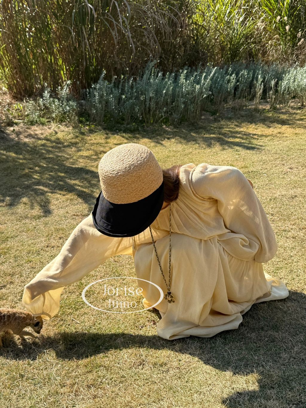 9fbf12c0fc63fb504a3bb355feed14c5