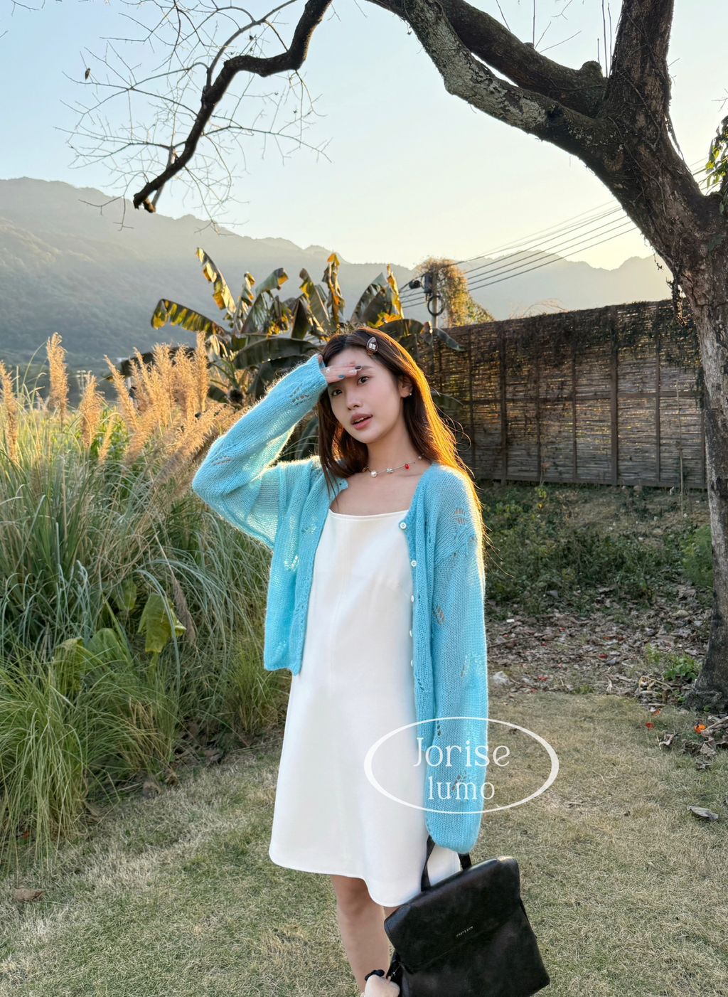 a8db396fb8993ad6df54c260c30c6112