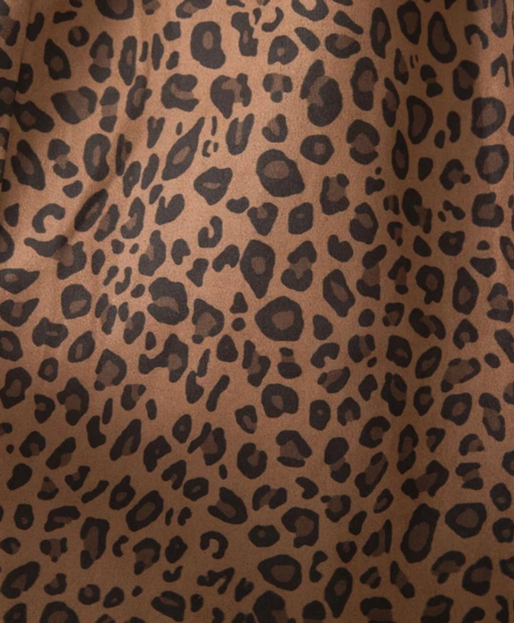 截圖 2026-03-19 上午10.14.24