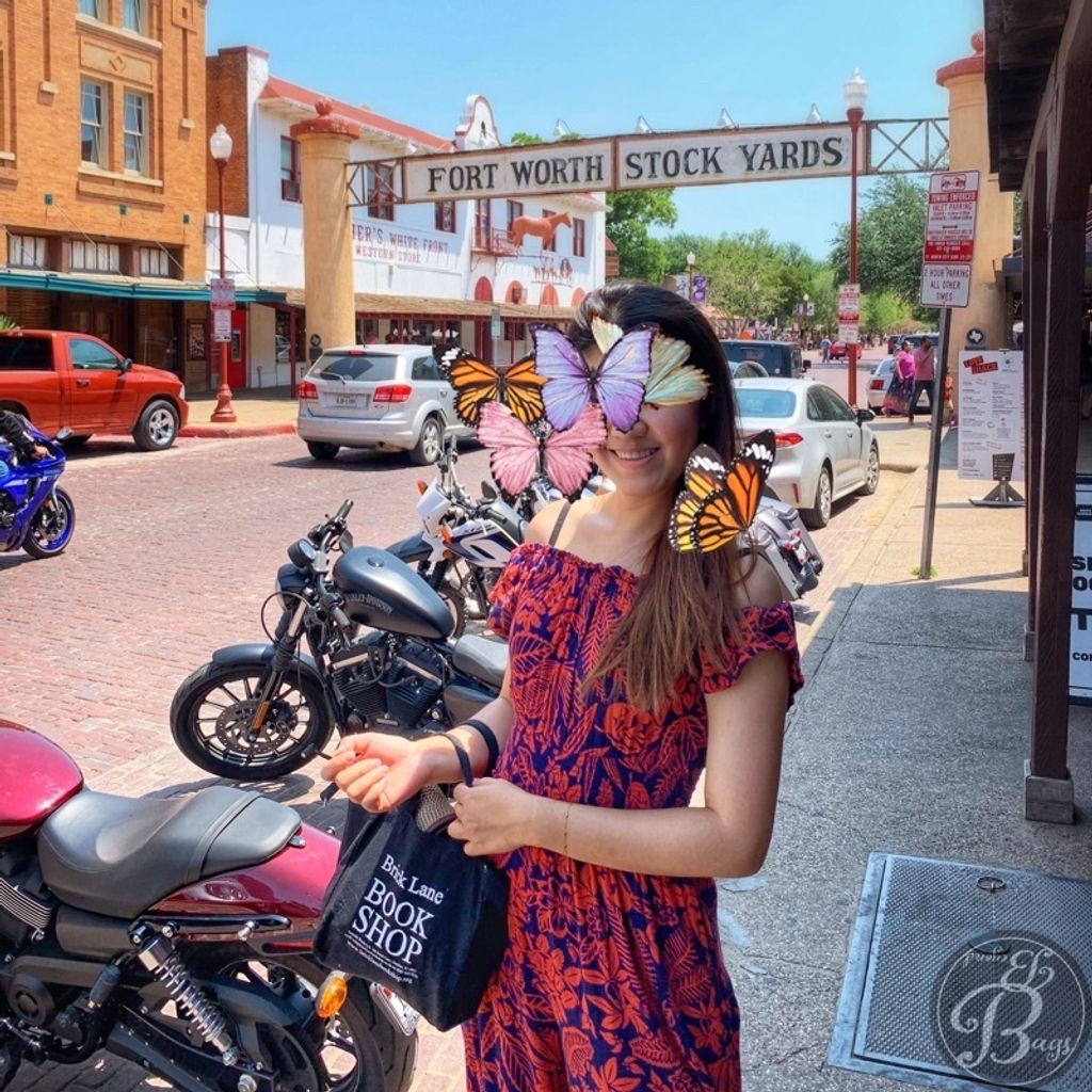 bacf8eae0a73dfb66bf03de605bb2a8f