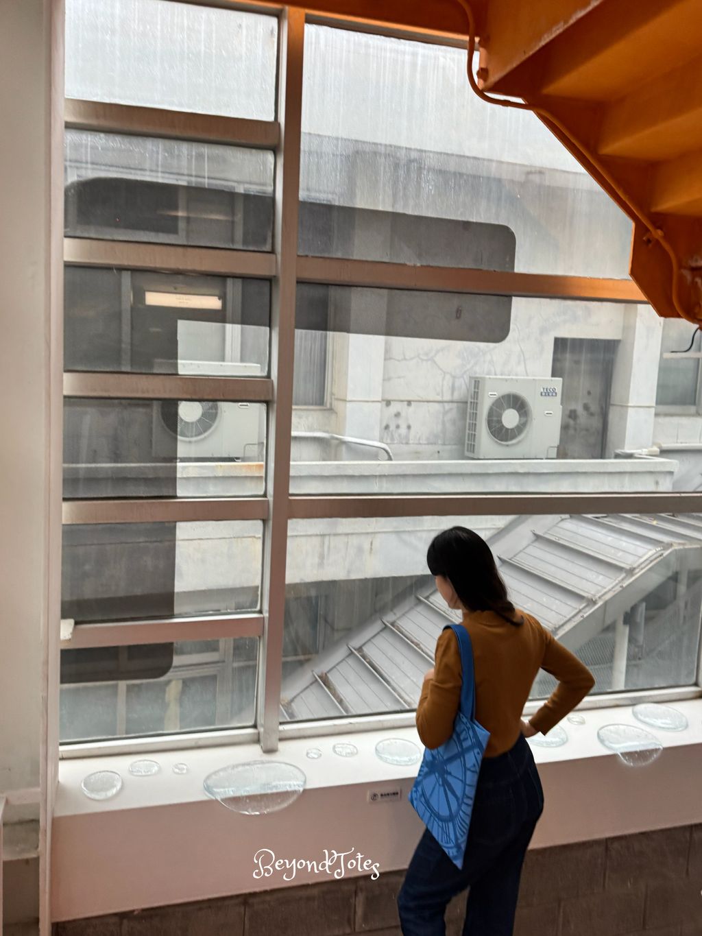 image_D652F8FF-E17A-42D9-8410-2EBE0BBE85B8_1760973496