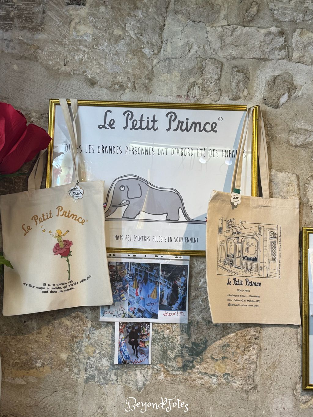 image_149D5686-EF18-4DBC-8614-220601FC2AB8_1761710450