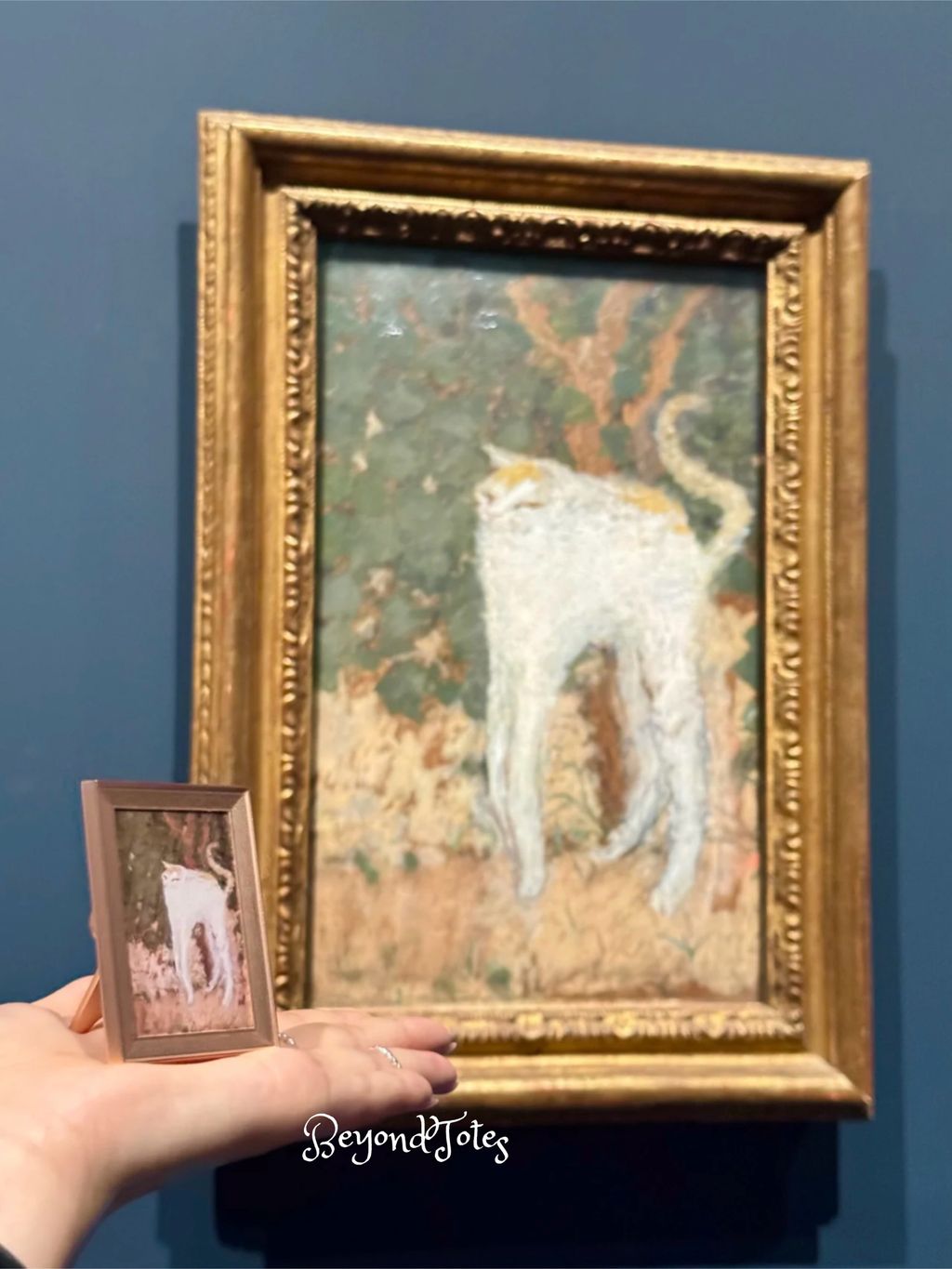 image_AE0F4016-0FA9-41DC-A6F2-F092C931D973_1763618869