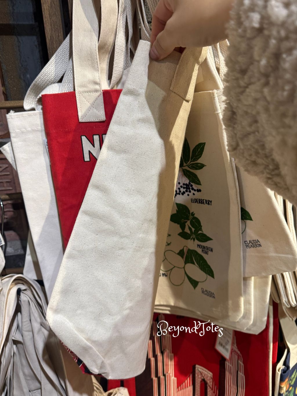 image_AEE12185-4CE7-4808-8C73-4C3AF4244DF7_1765538128