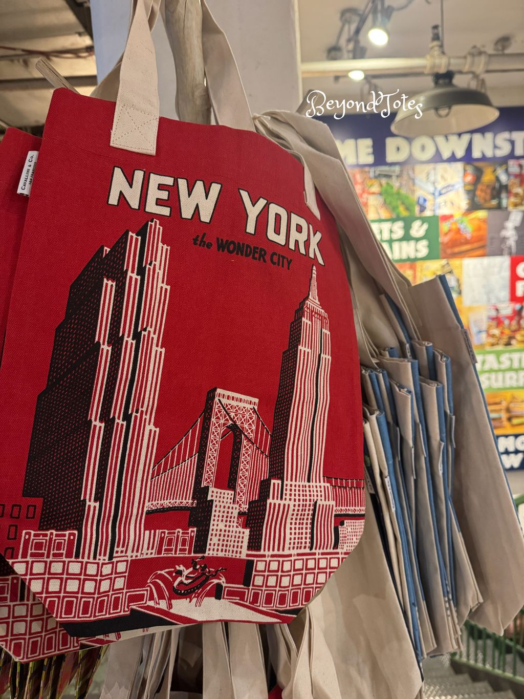 image_6A81C2F1-37A1-4413-98FD-BC4BF6B1F3DF_1765538129