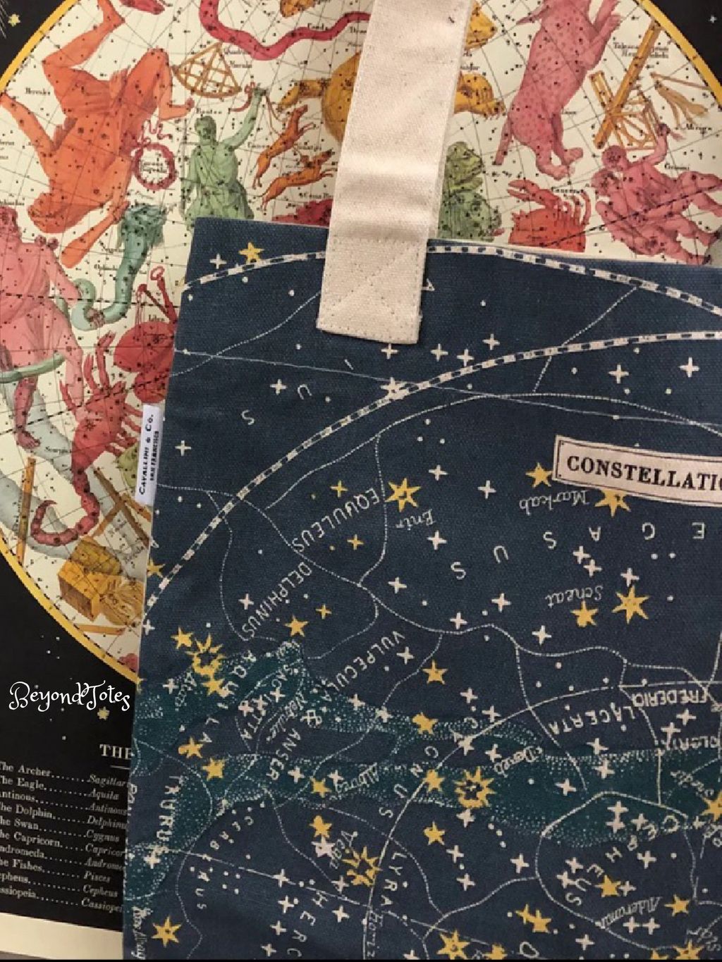 image_62B5EB63-AB7D-4601-AB76-73A6B961F177_1765538826