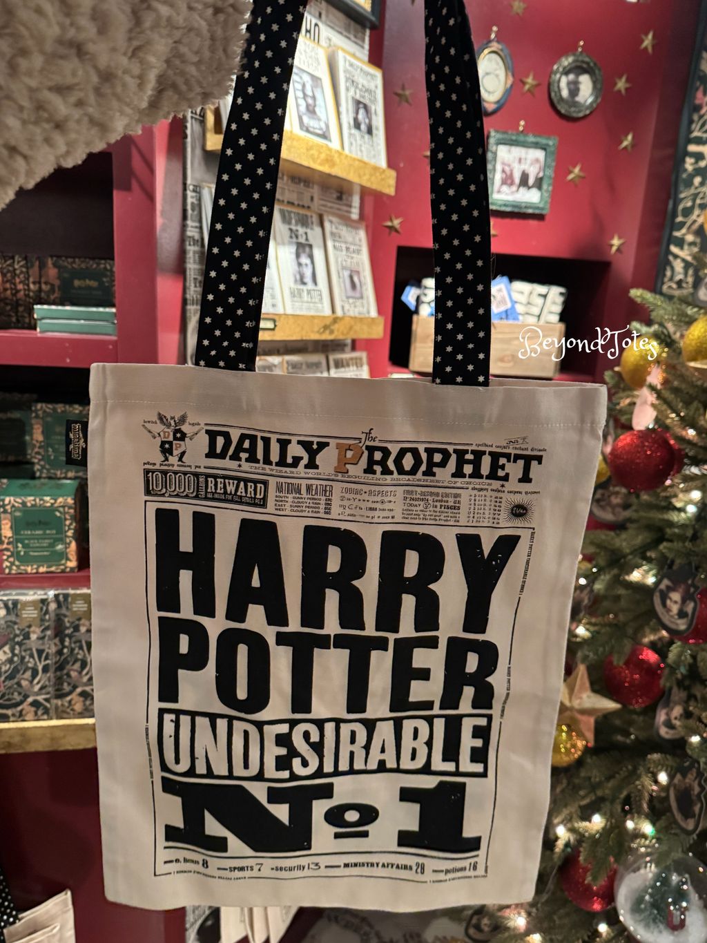 image_649AA31D-CFA7-4633-8997-3F955EE99069_1765617400