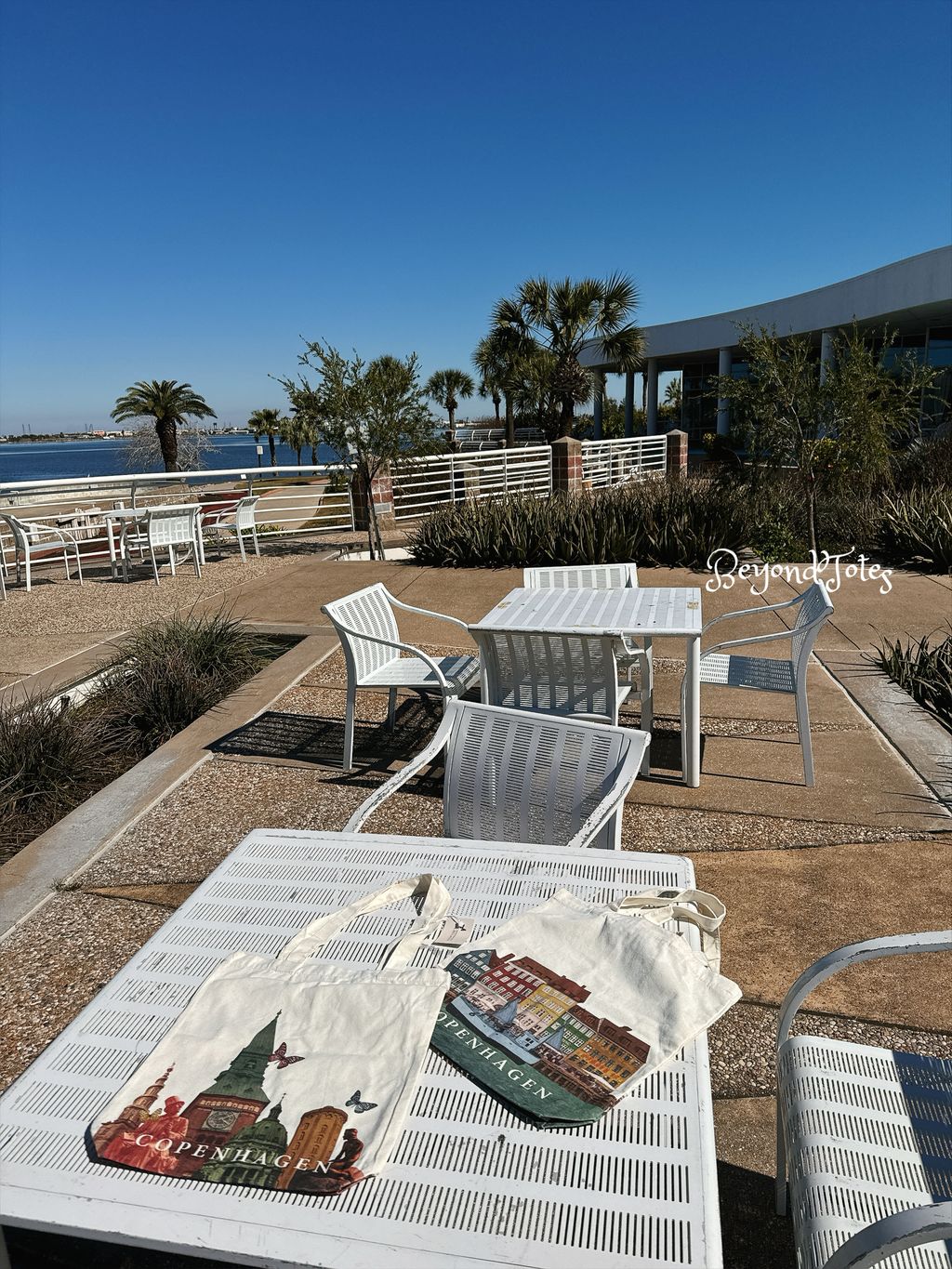 image_66625BC3-BB68-4795-83C1-6B1AE3AEC450_1772255569