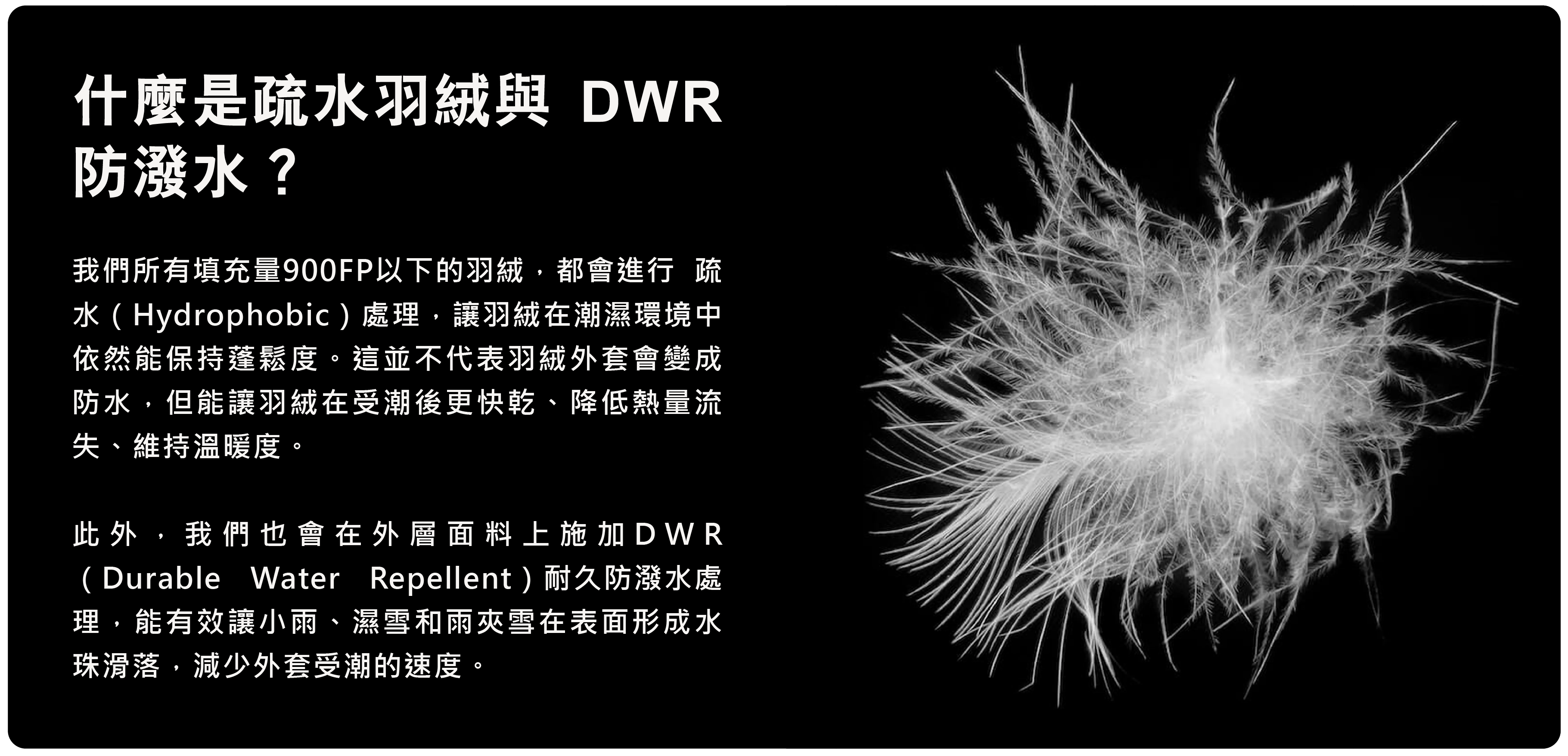 羽絨外套防水嗎2-1