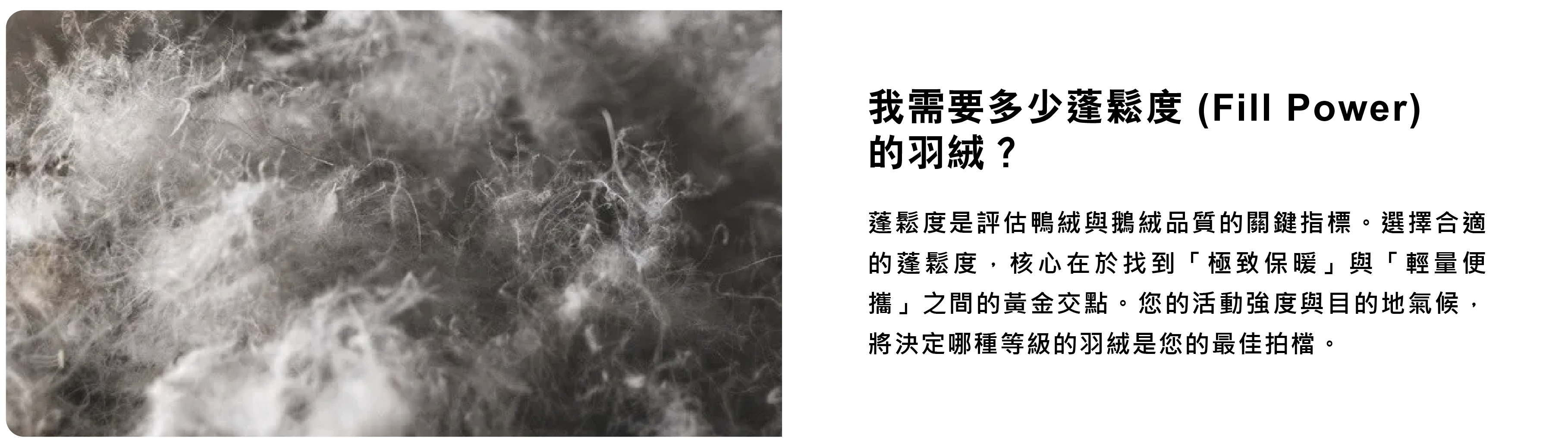 如何挑選羽絨外套-5