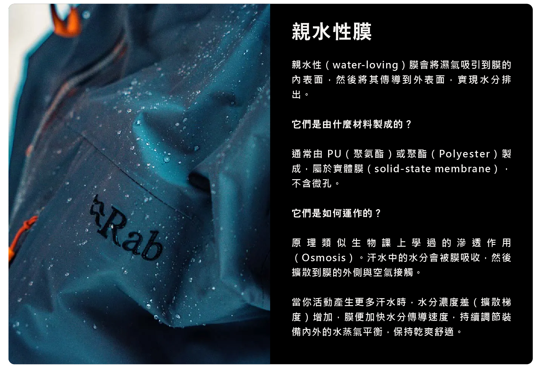 親水膜