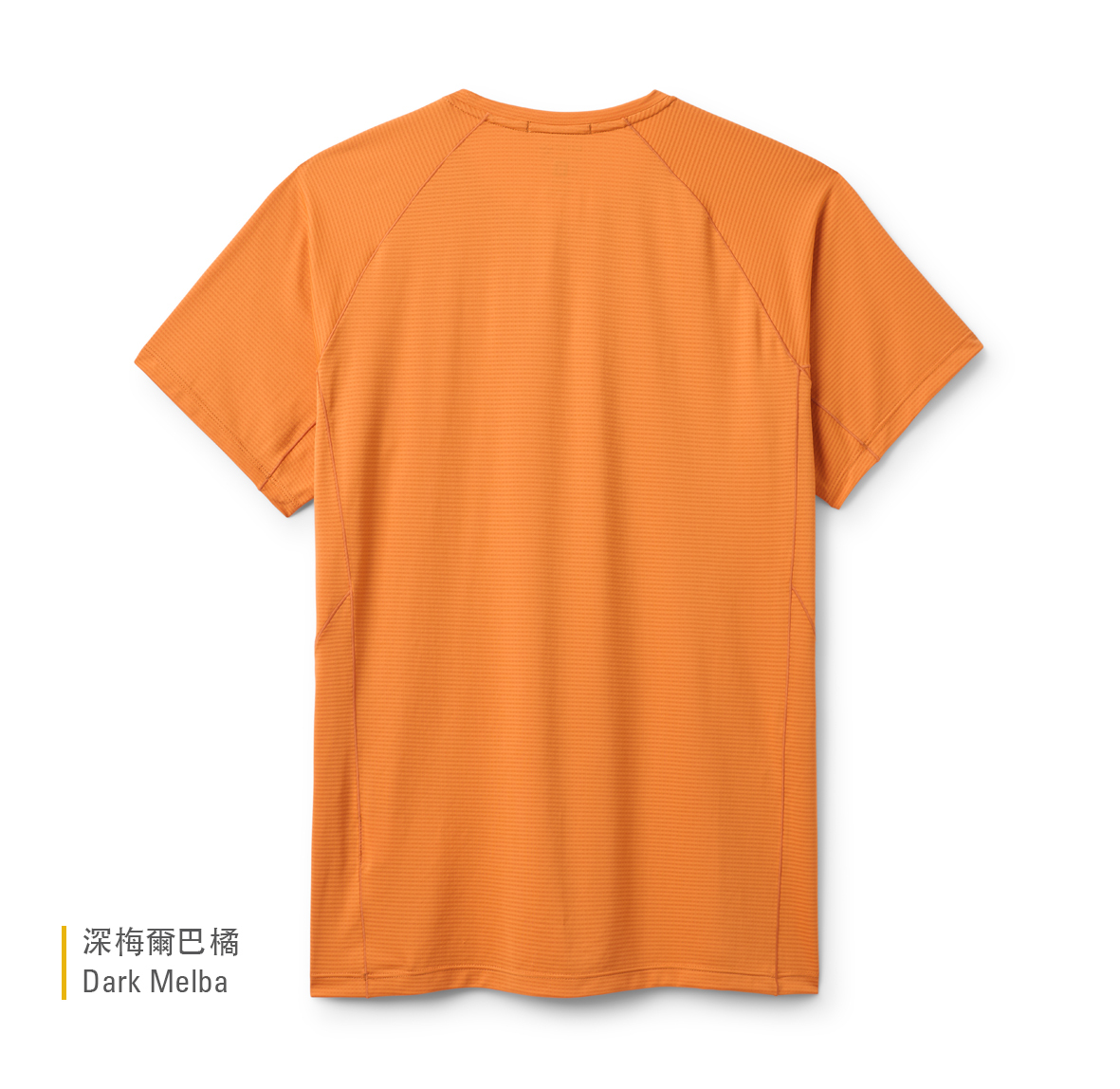 Sonic_Tee_DarkMelba_QCC_55_DKM_back