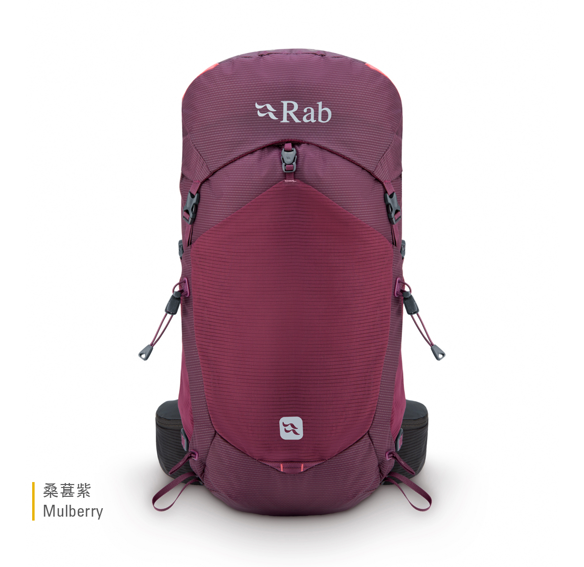 Protium_33_ND_Mulberry_QAP_65_MUL_front