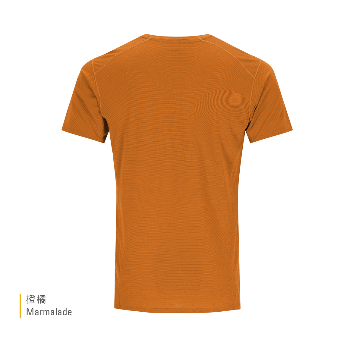 Syncrino_Base_Tee_Marmalade_QBL_30_MAM_BACK