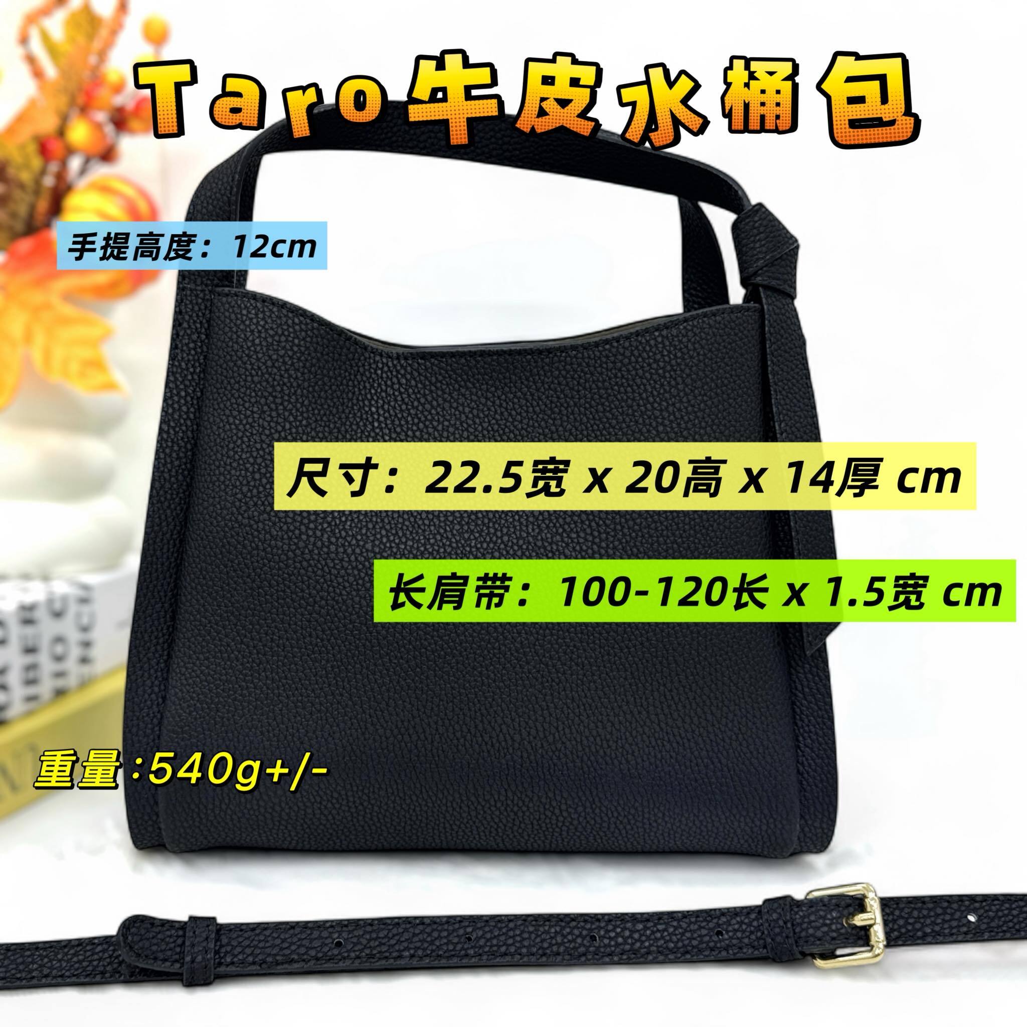 571350702_1238242118332506_6662491602489199944_n