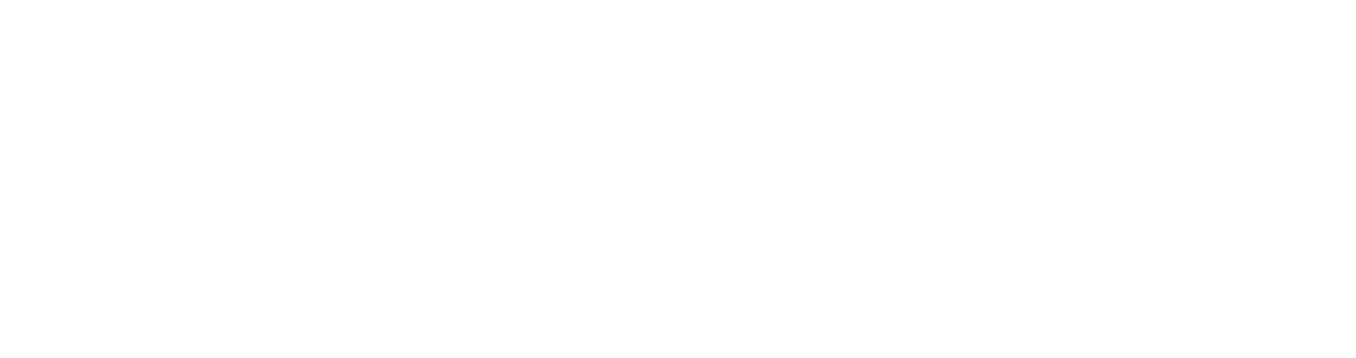 UNDG OFFICIAL