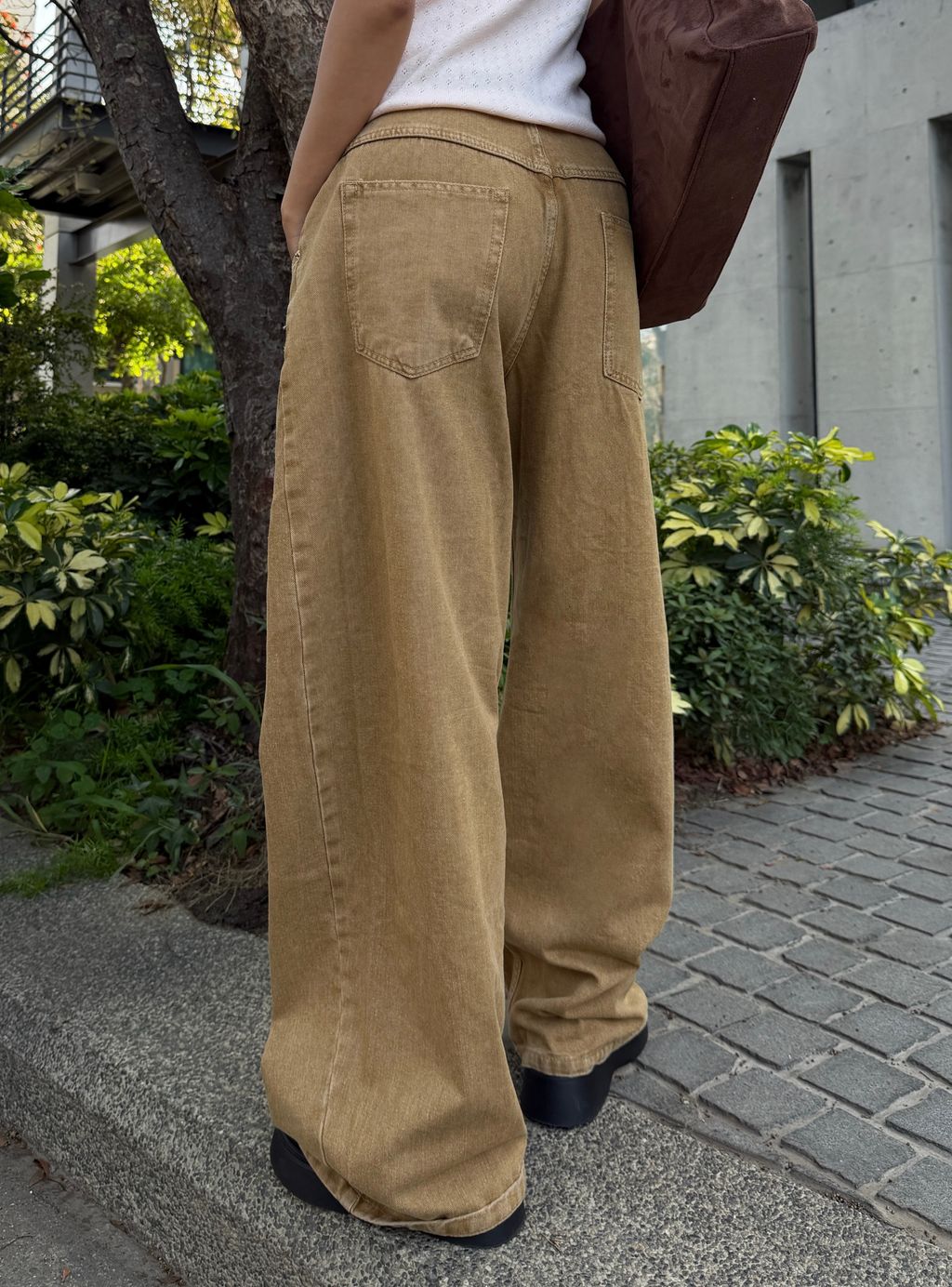 相片 2026-03-17 12.26.16