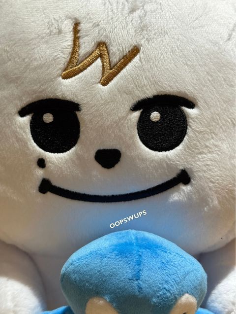 image_EE5C48D4-B95D-4147-82DD-584CB52C7E0D_1749023026