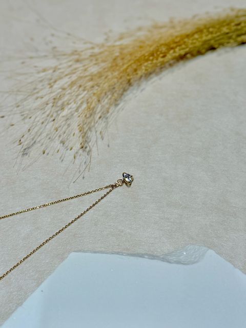 LINE_ALBUM_2025822_250822_22