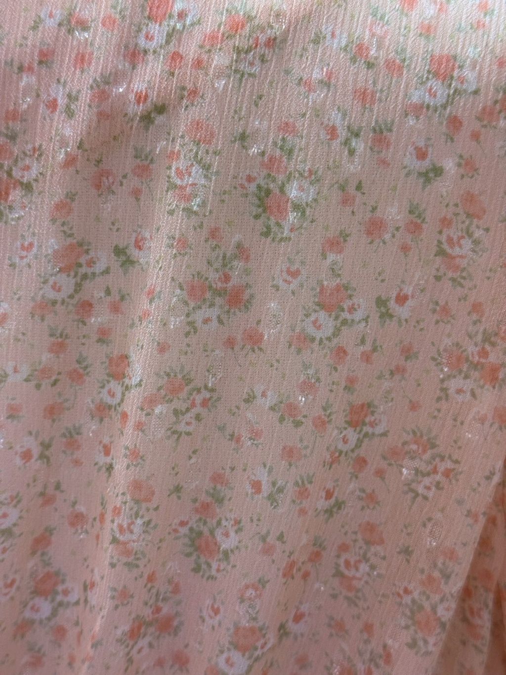 LINE_ALBUM_2025823_250823_10