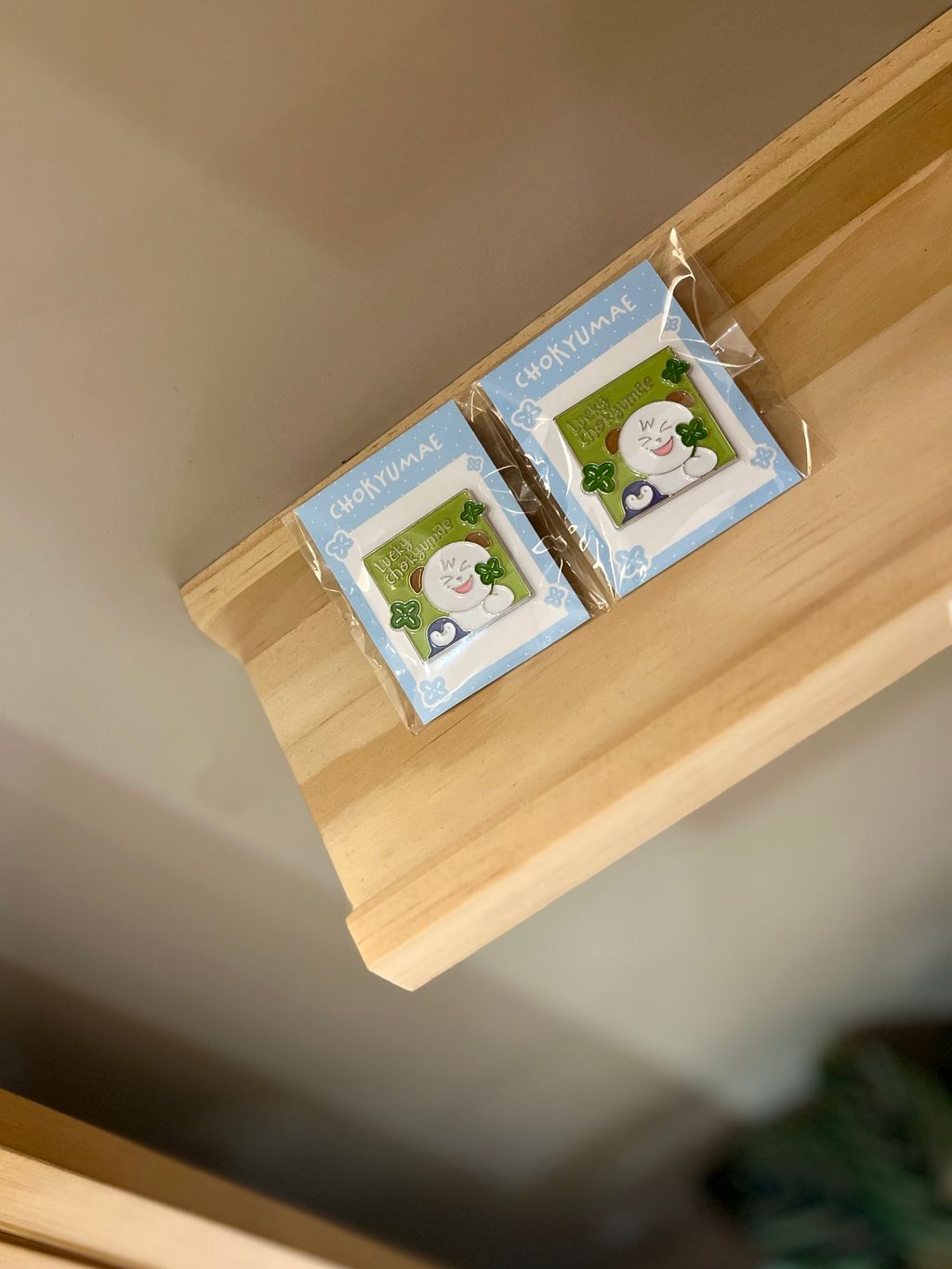 image_4E619246-B590-400F-9899-EFAA83415107_1764313540