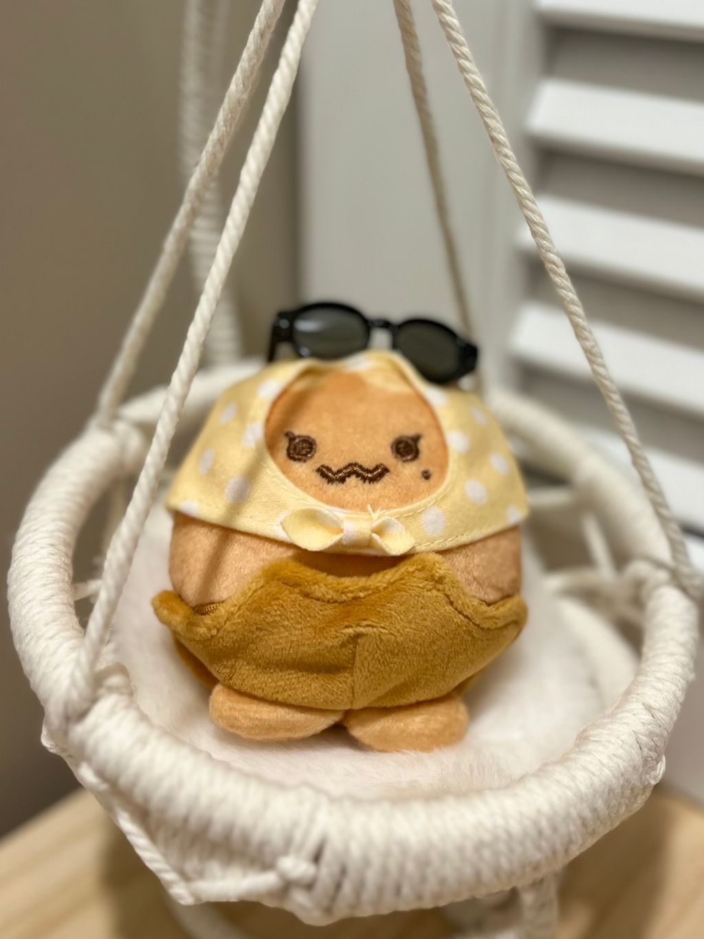 image_5A135E5C-0468-4E6F-A9E1-24EDED4E7593_1764314899