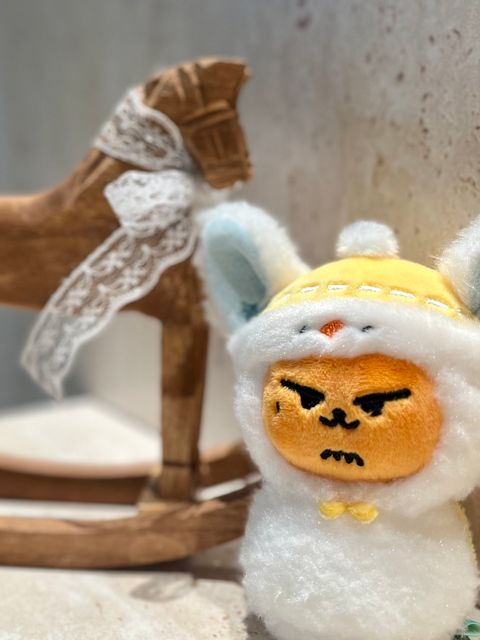 image_890F65D6-9F7F-4CFD-B6EC-8C6E8D5320C6_1766483446