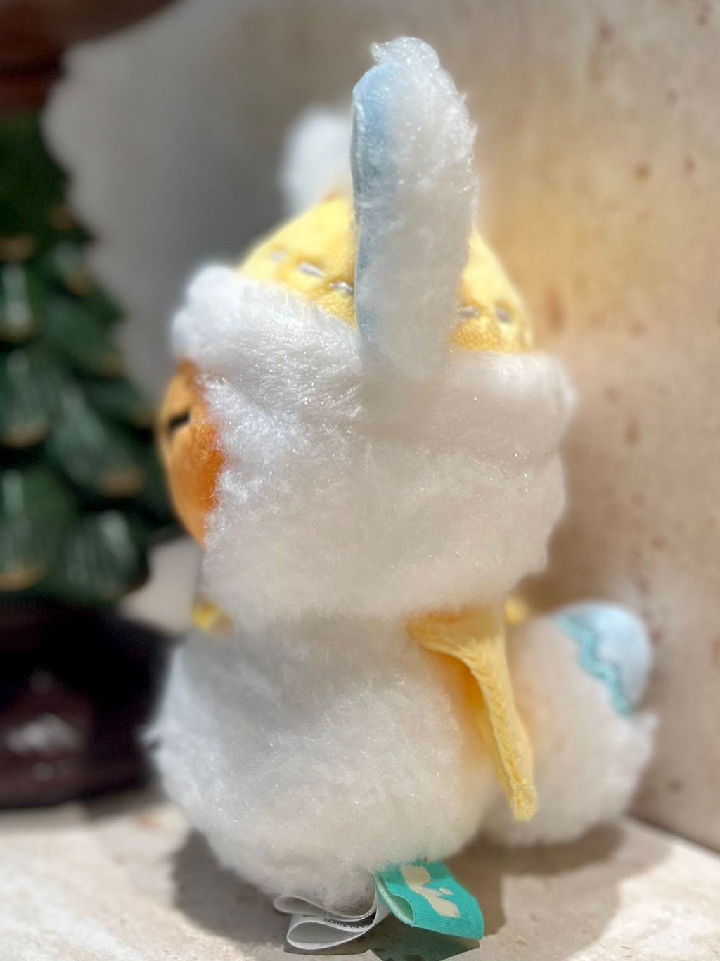 image_917F4155-C74F-42C0-9E34-025E3F210E42_1766483446