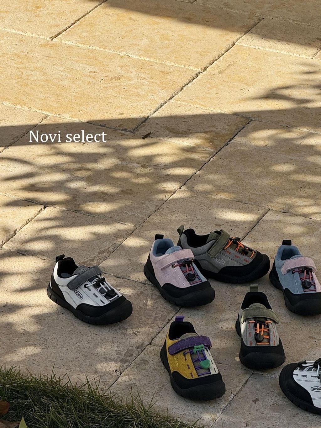 圖片_2026-03-24_181856_586