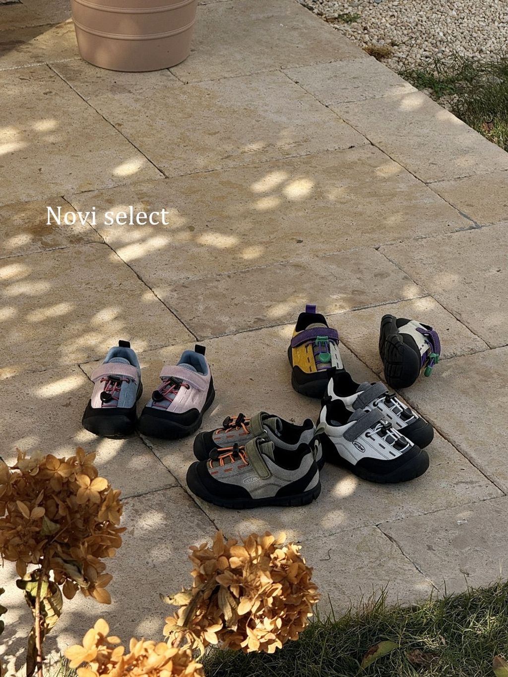 圖片_2026-03-24_181848_236