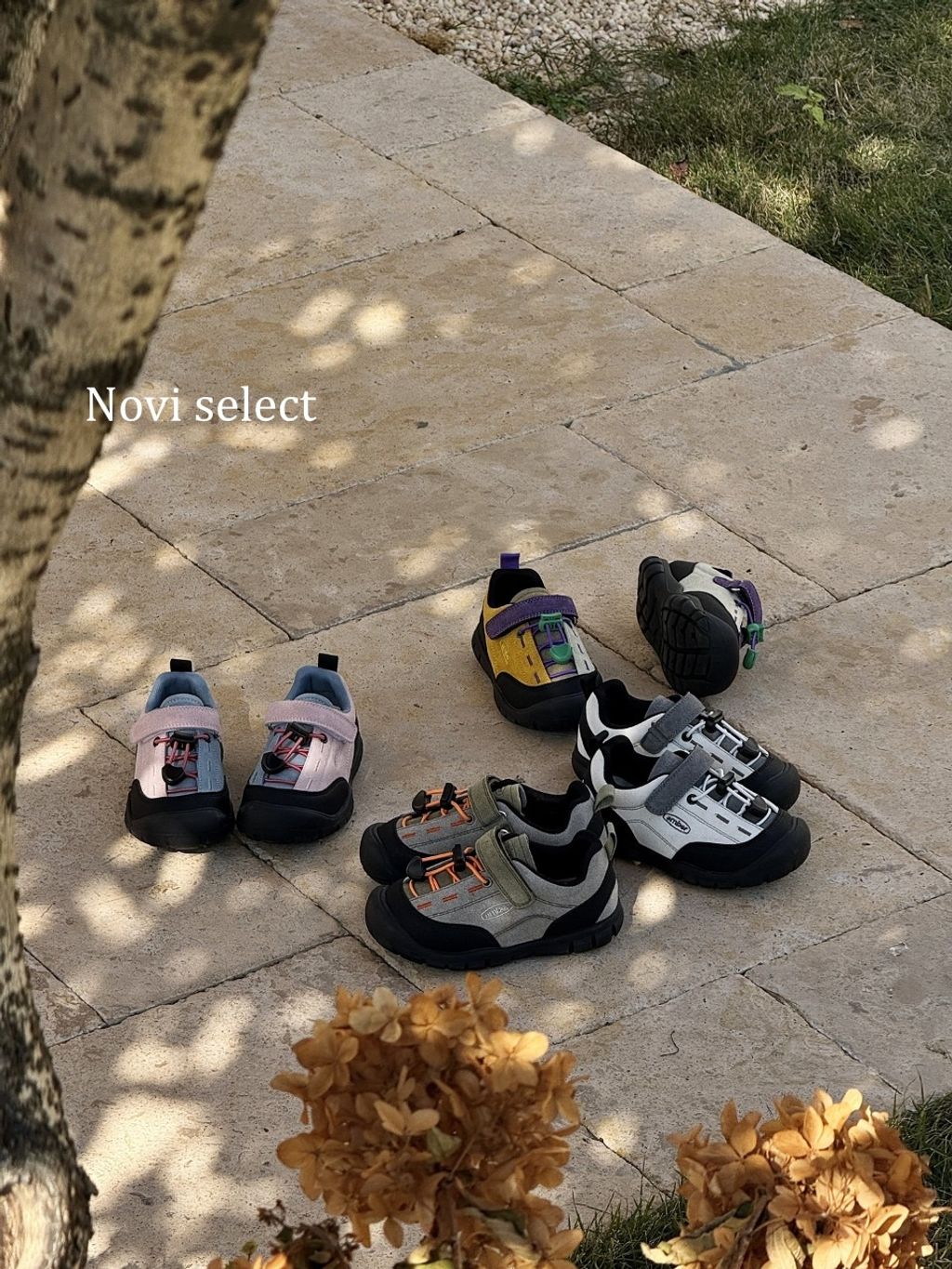 圖片_2026-03-24_181843_722