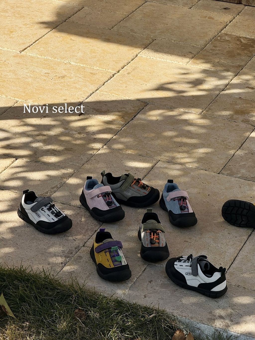 圖片_2026-03-24_181852_954