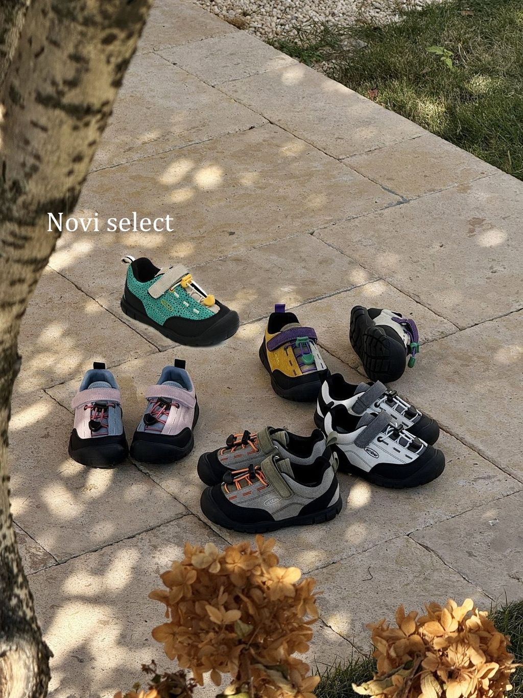 圖片_2026-03-24_181835_169