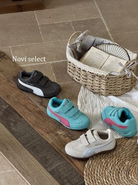 圖片_2026-03-24_181756_331