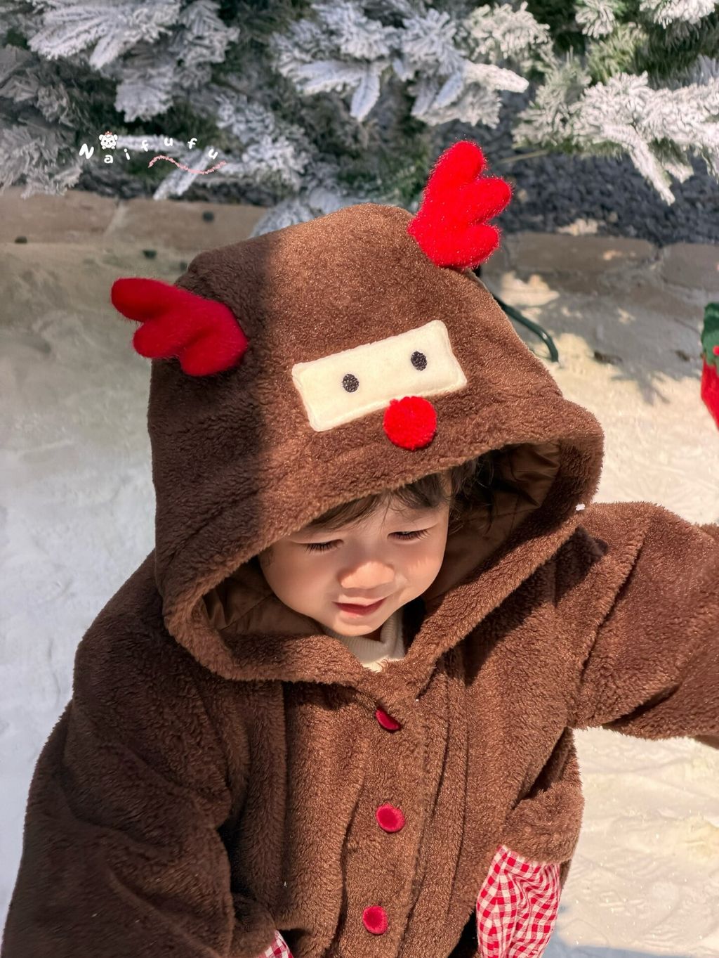 圖片_2025-11-22_054247_868