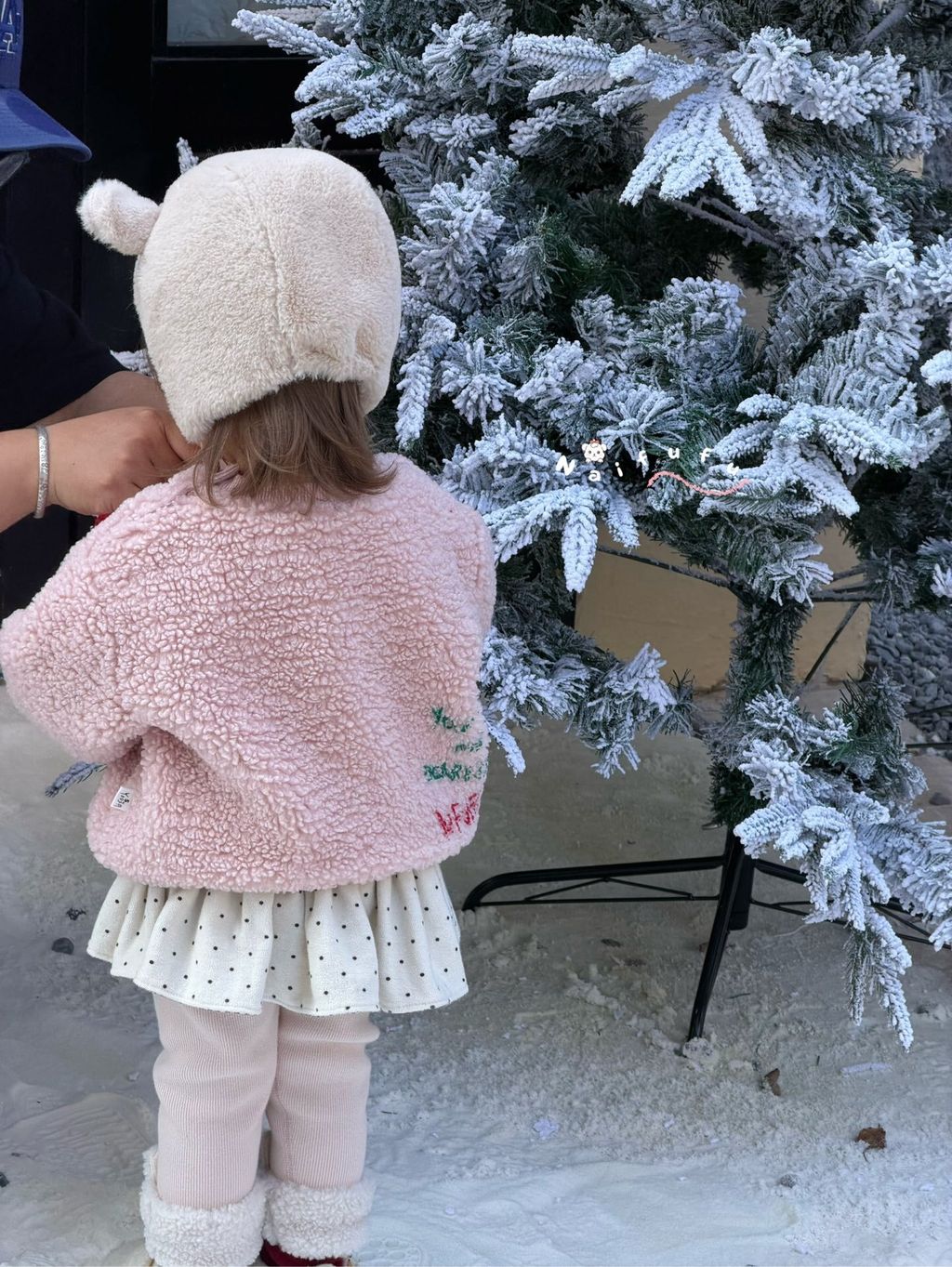 圖片_2025-11-22_054454_611