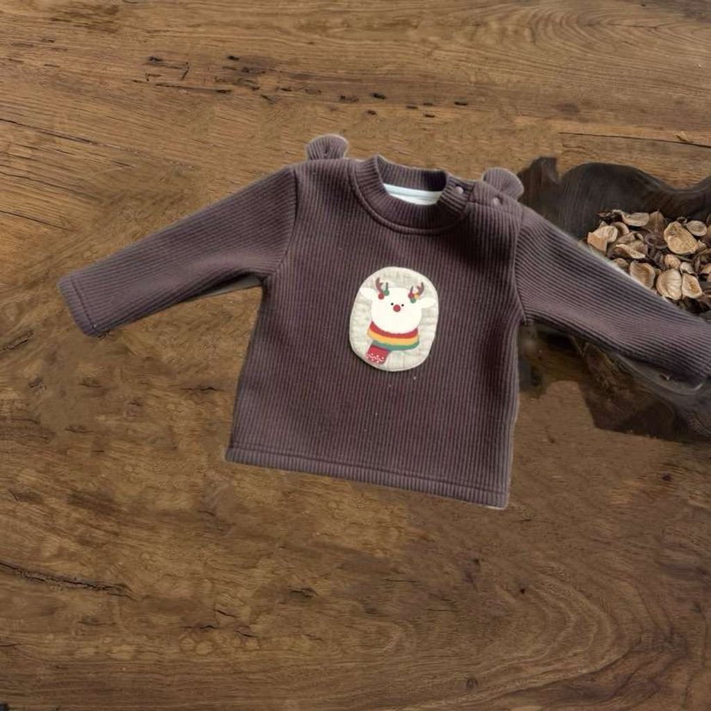 圖片_2025-11-19_062605_801