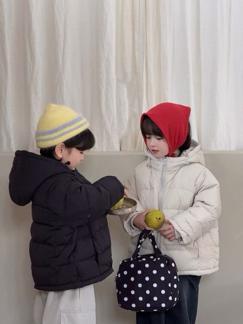 圖片_20251202203615_363_446