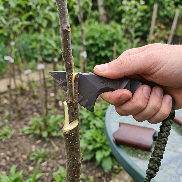 Miller Bros. Blades Z-Wear PM Kiridashi Belt Knife Use