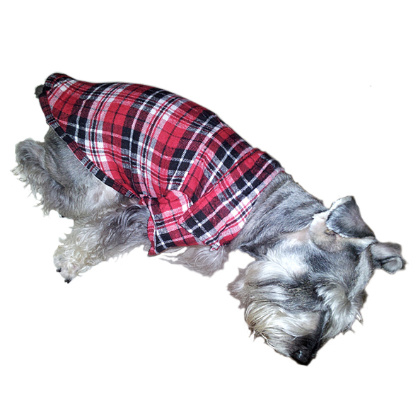 Dog Checked Shirt Side