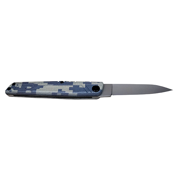AKC Italian Bill DeShivs Leverletto Back Camo